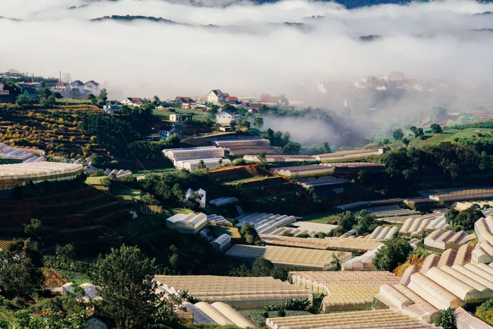 Nông sản nên thử khi ghé vườn